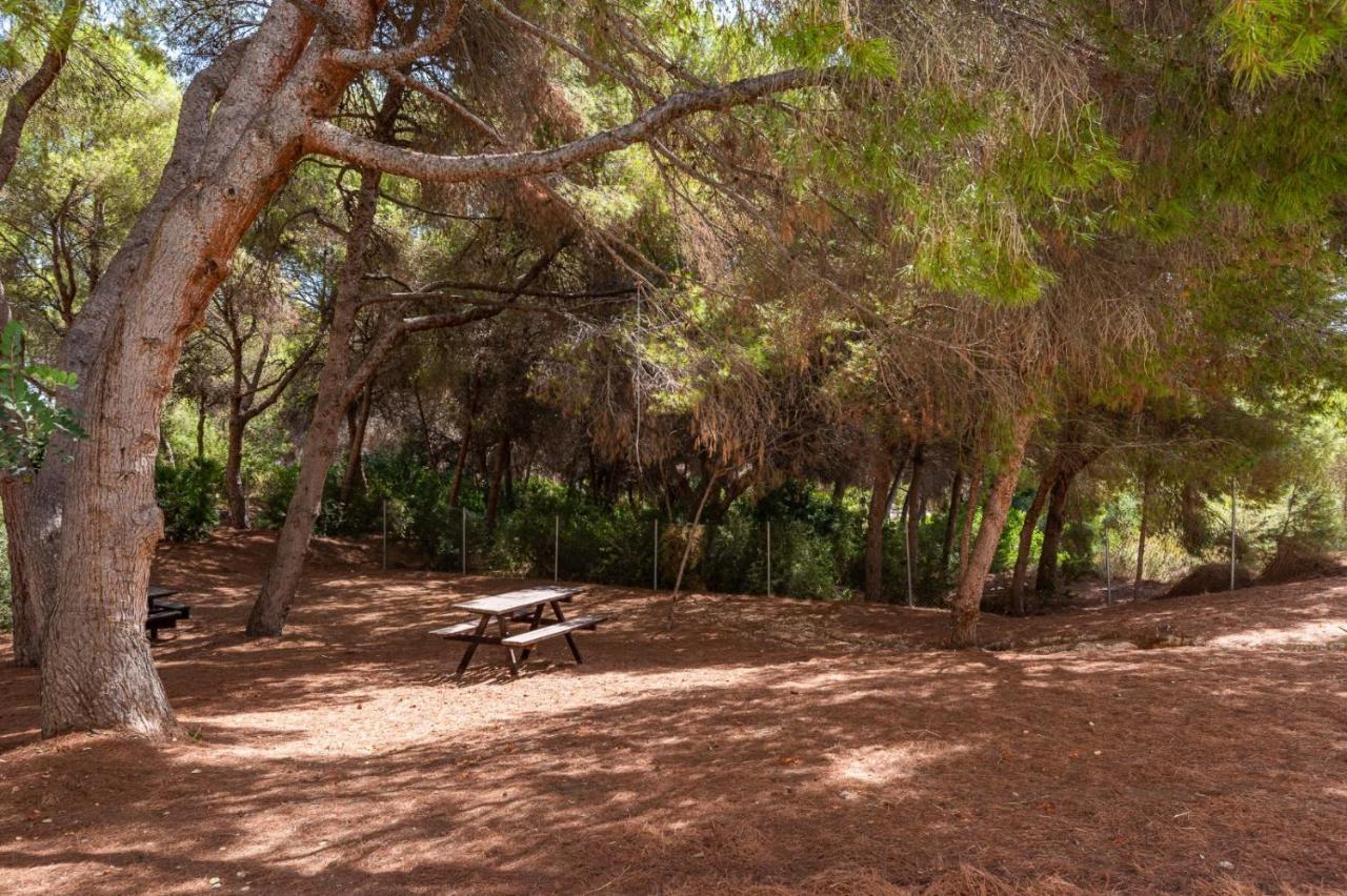 Apartament Summer Campoamor Exterior foto